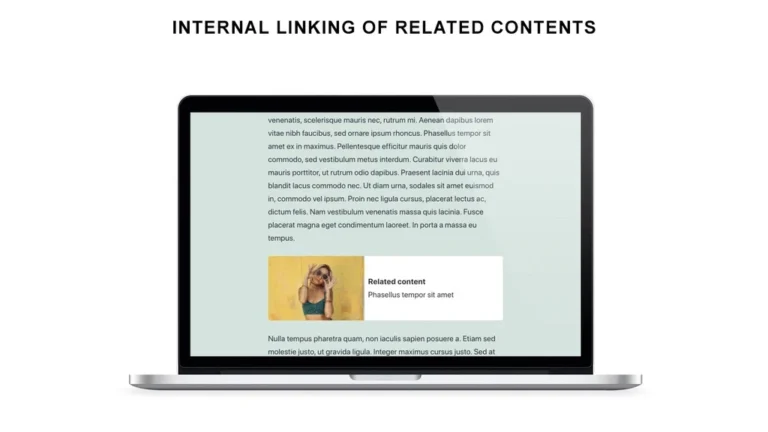 Internal Linking Related Contents lifetime deal review