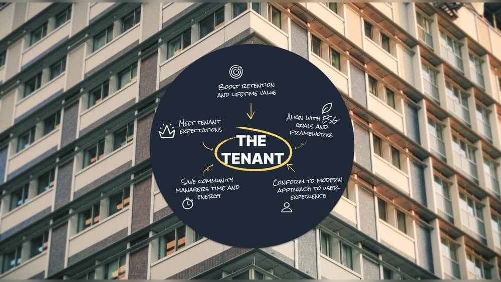 Lifetime Deal User Expectations