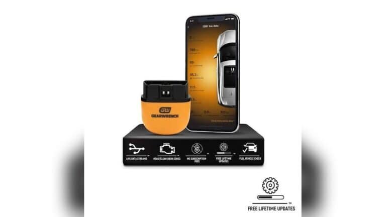 Lifetime Software Usage Caps