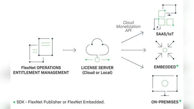 Software Licensing Models Explained