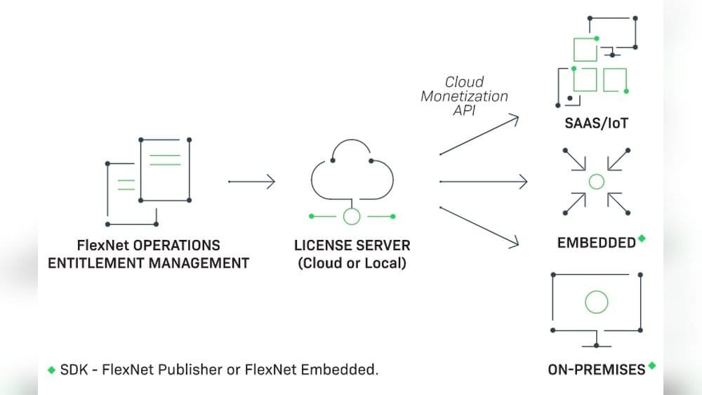 Software Licensing Models Explained